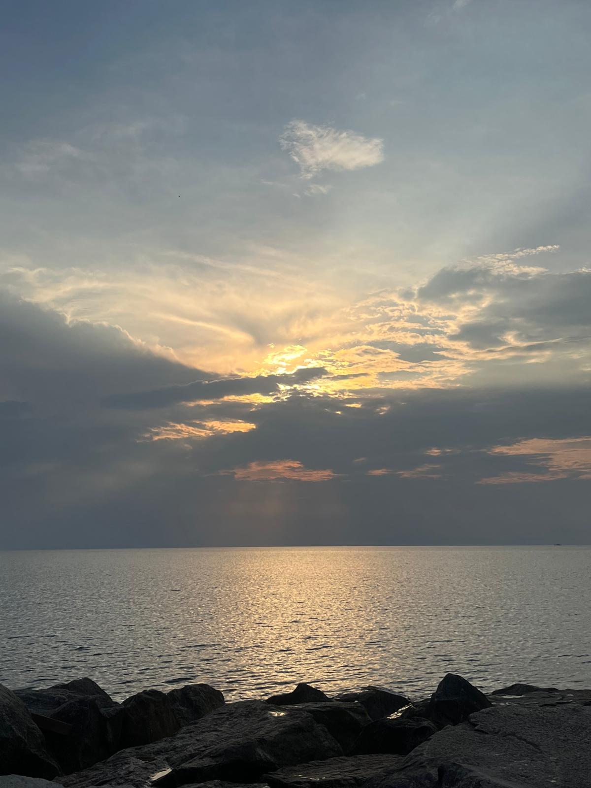 MMS Paint family team